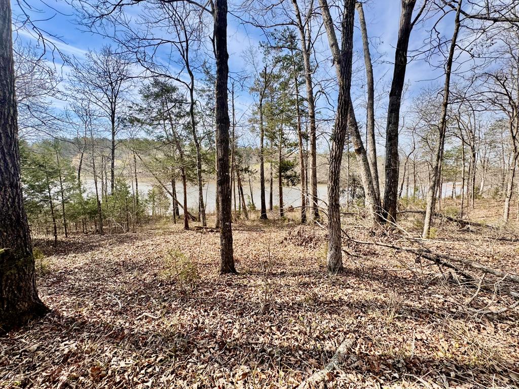 517 Terrapin Pointe Road Hodges, SC 29653 - Photo 14 of 29