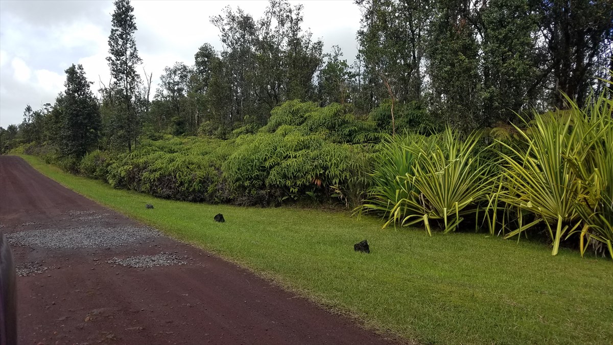 8548 Apele Road Mountain View, HI 96771 - Photo 3 of 10 Gallery Image 3