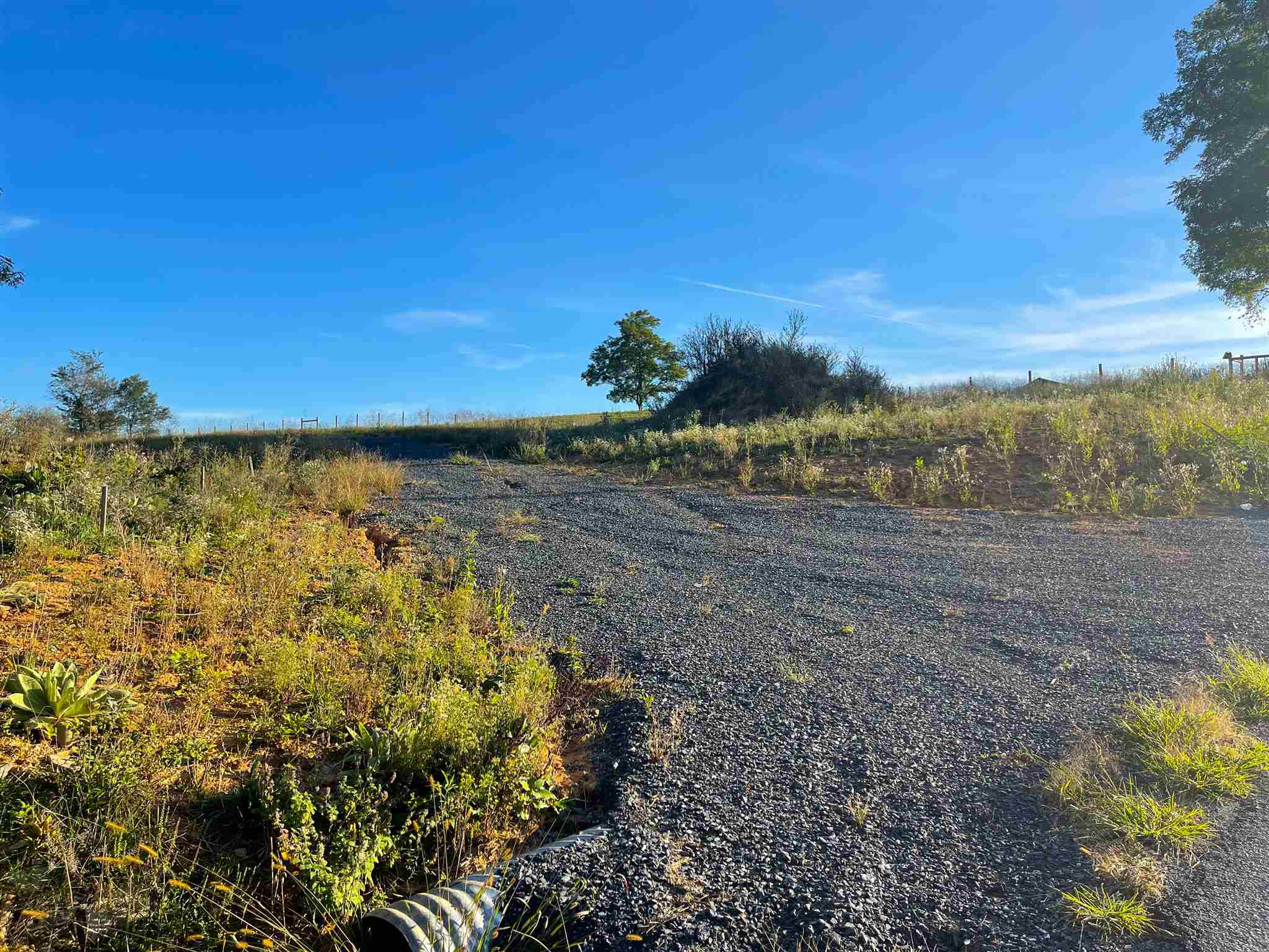 Tbd Tribbetts Mill Road Swoope, VA 24479 - Photo 5 of 6