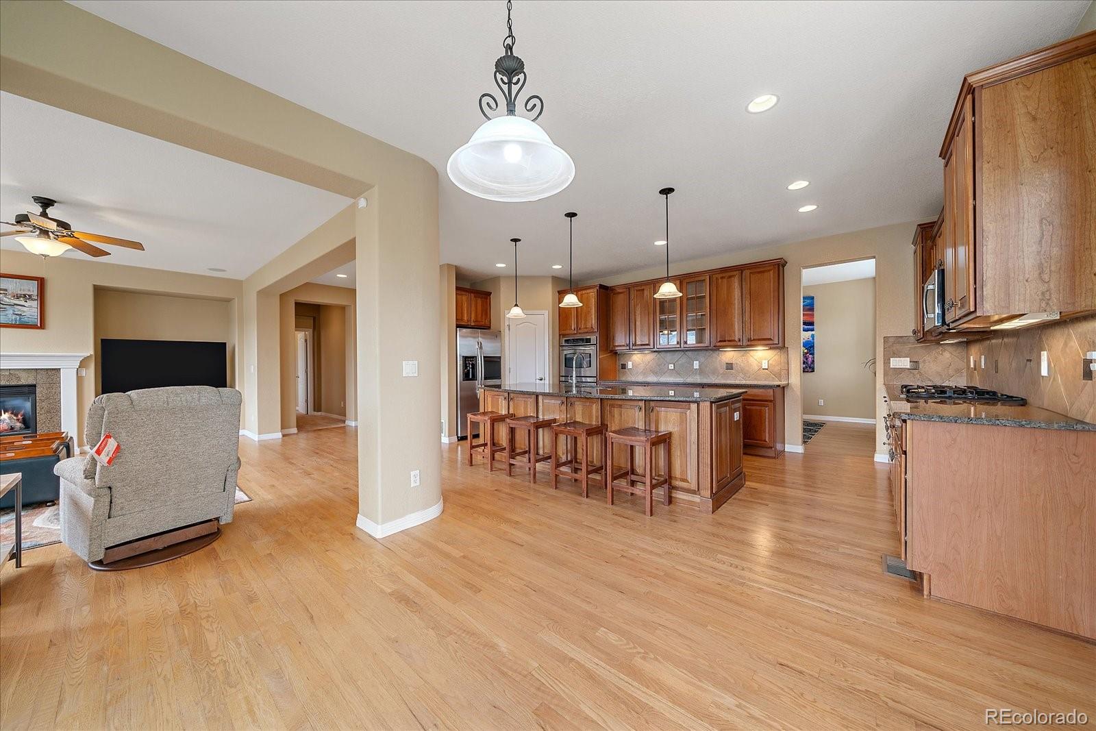 3740 Fairbrook Point Highlands Ranch, CO 80130 - Photo 8 of 49 Gallery Image 8