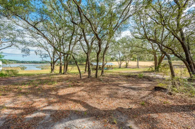 a view of yard with trees