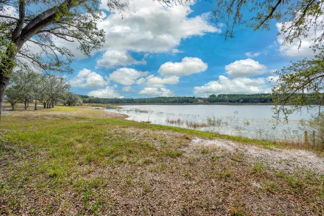 a view of a field with trees in the background