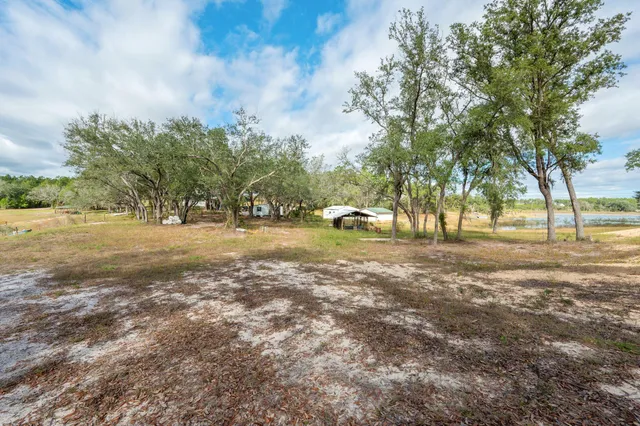 a view of a yard with trees