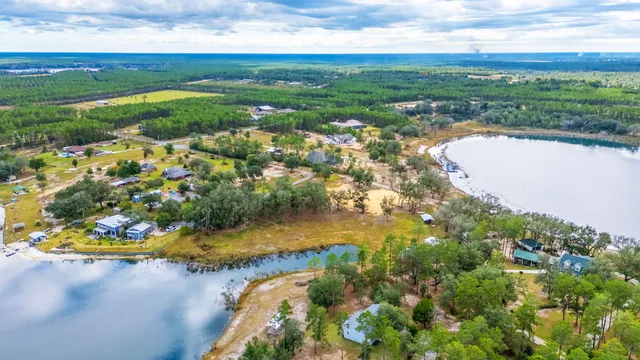 a view of a tree with a yard