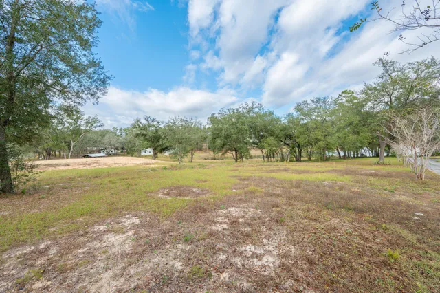 a view of outdoor space with trees