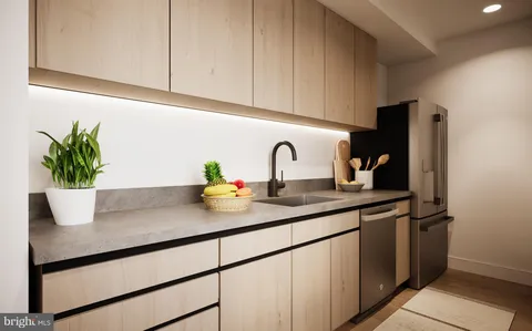 a kitchen with sink and potted plant