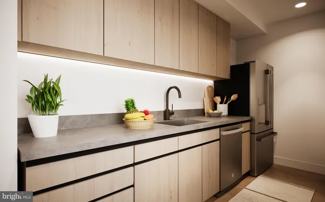 a kitchen with sink and potted plant
