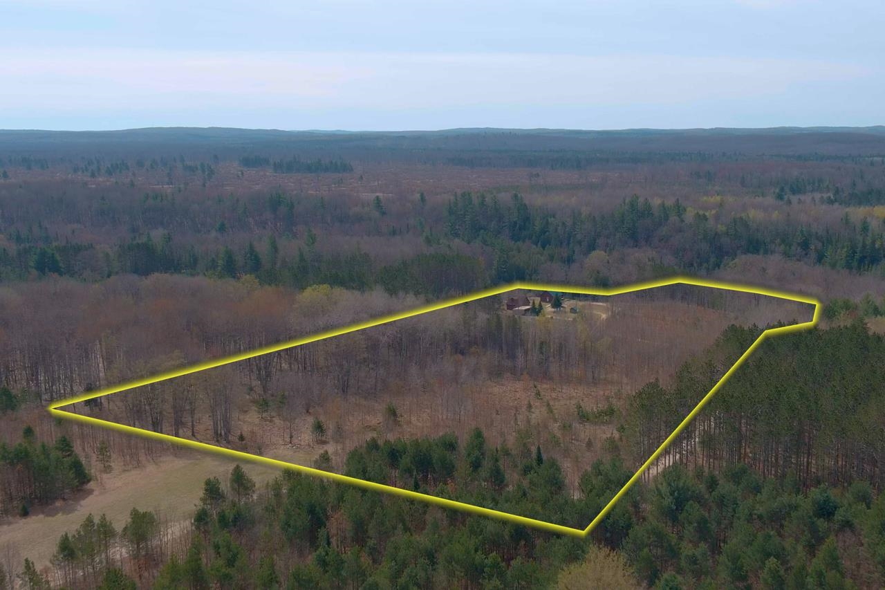 11101 West Fahrney Road Fife Lake, MI 49633 - Photo 5 of 36