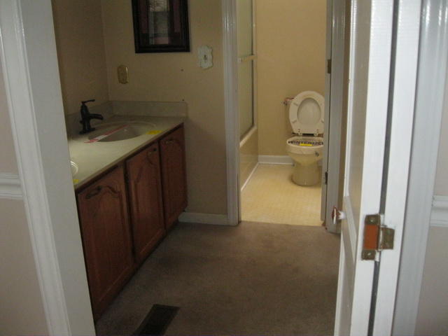 1261 Mountain Pass Road Blue Ridge, VA 24064 - Photo 16 of 23 a en suite bathroom with a sink a toilet and a mirror
