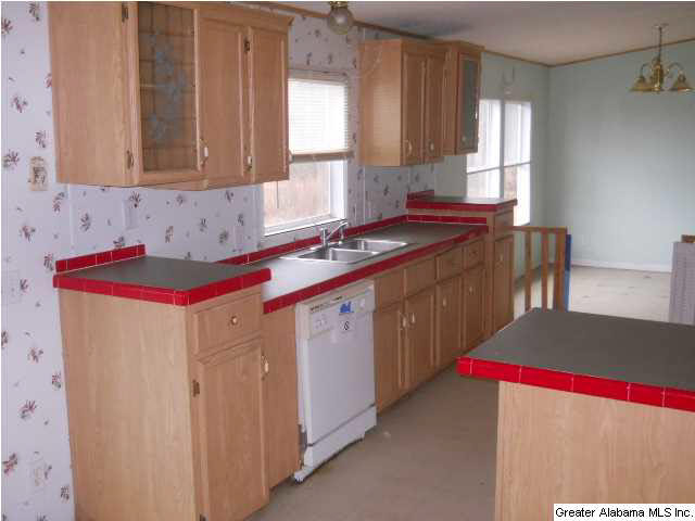 241 Happy Knoll Road Ashville, AL 35953 - Photo 6 of 17