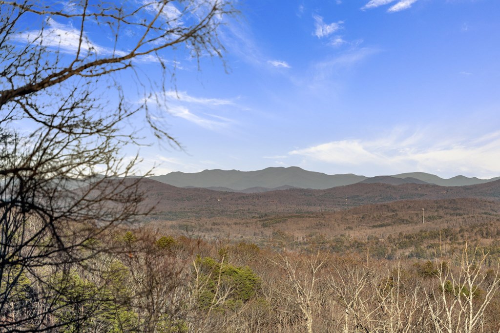 539 Deer Crest Road Blue Ridge, GA 30513 - Photo 79 of 87