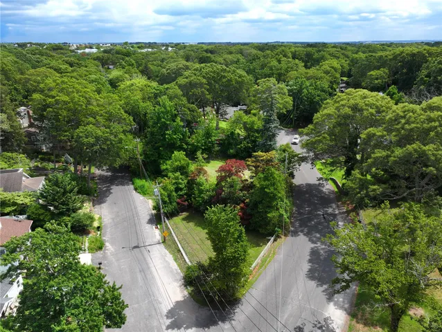 a view of a bunch of plants and trees