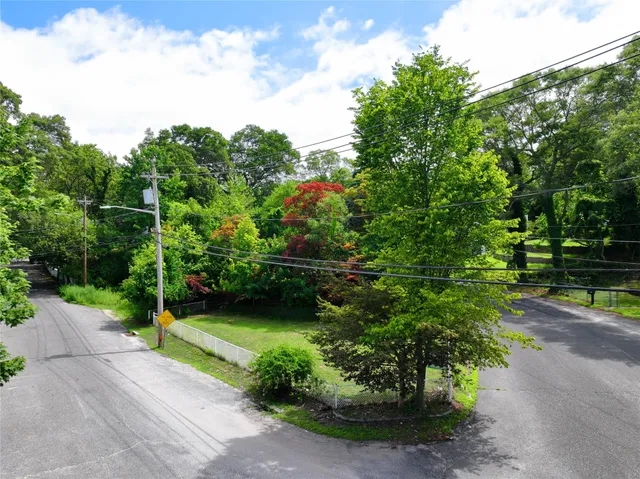a view of a park with large trees