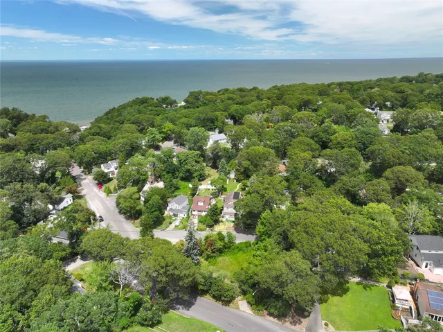 a view of a bunch of trees
