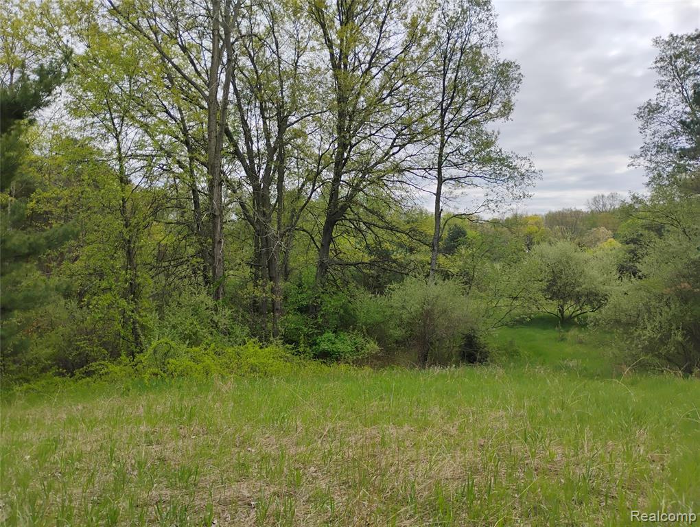 Middle V/l Middle Road Highland, MI 48357 - Photo 4 of 11