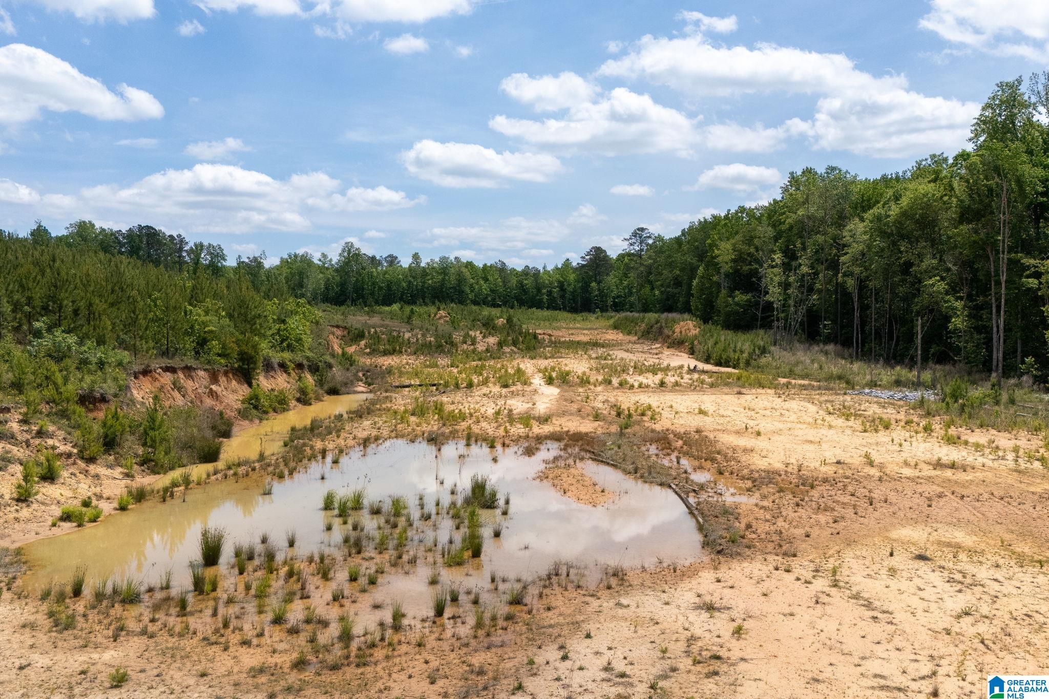 16 County Road Maplesville, AL 36750 - Photo 13 of 26