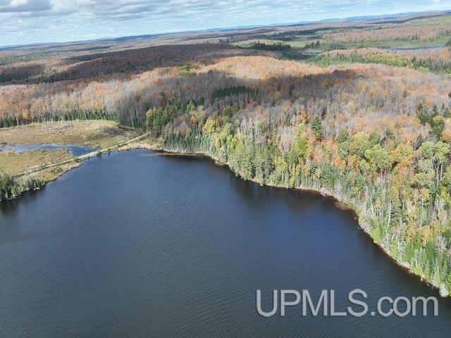5800 Wolf Lake Road Watersmeet, MI 49969 - Photo 81 of 86