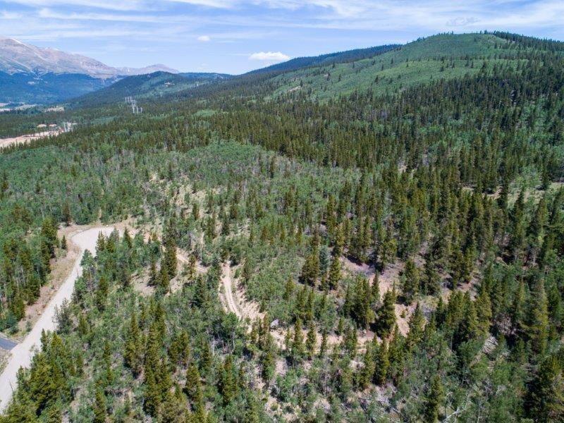 90 Dead Toad Road Alma, CO 80420 - Photo 24 of 32 Gallery Image 24