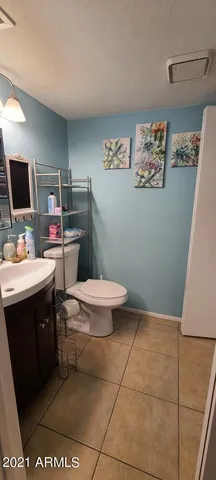 a bathroom with a toilet a sink and mirror