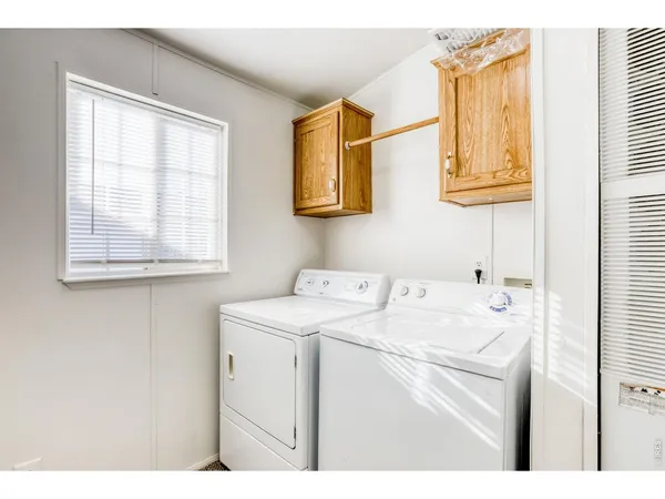 a view of a backyard with a tree