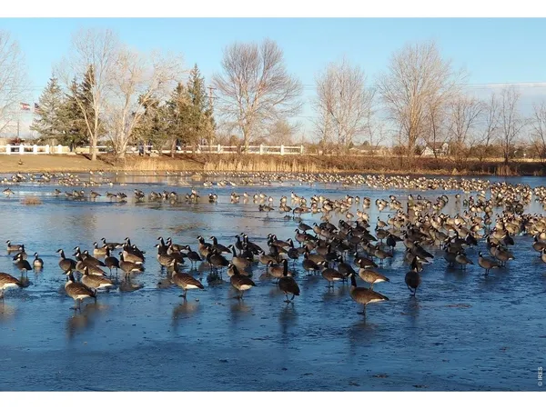 $165,000 | 3453 Bright Angel, Unit 27, Longmont, CO 80504