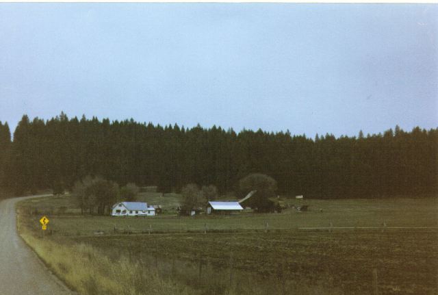 322 Nicholson Road Elk, WA 99009 - Photo 6 of 8