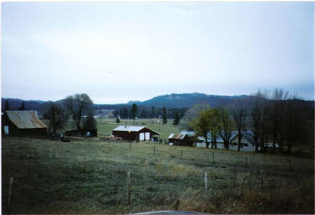 322 Nicholson Road Elk, WA 99009 - Photo 7 of 8