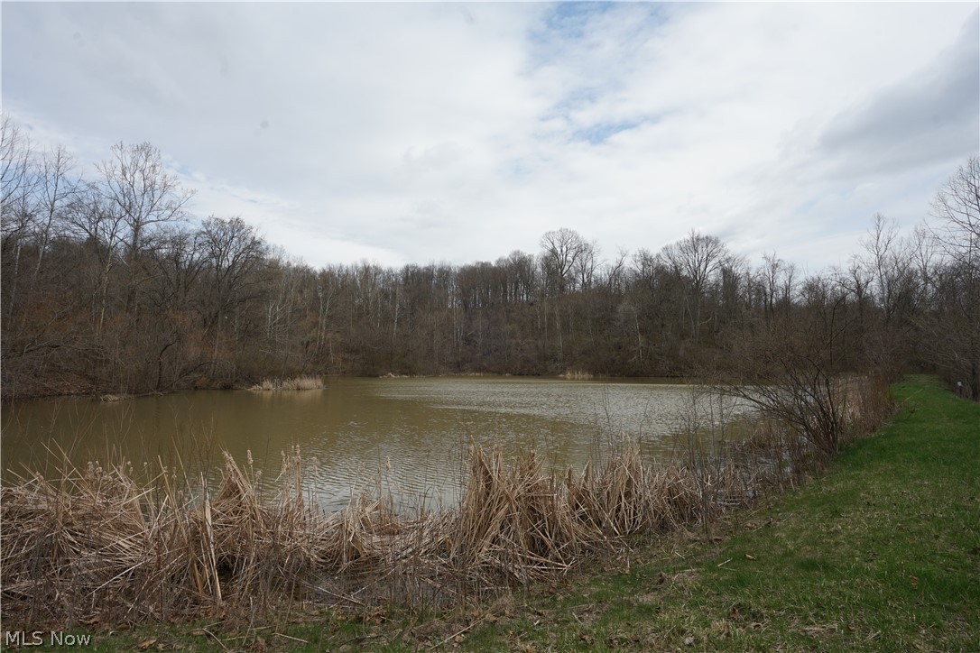 56835 Stephens Road Jacobsburg, OH 43933 - Photo 37 of 50