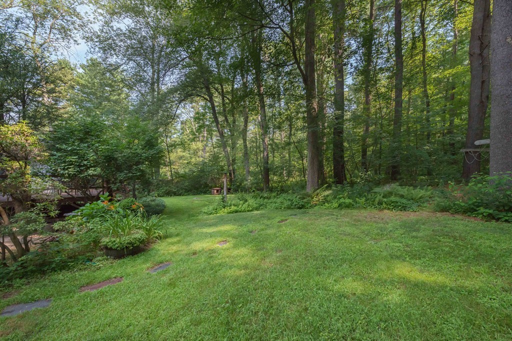 23 Constitution Road Lexington, MA 02421 - Photo 15 of 16