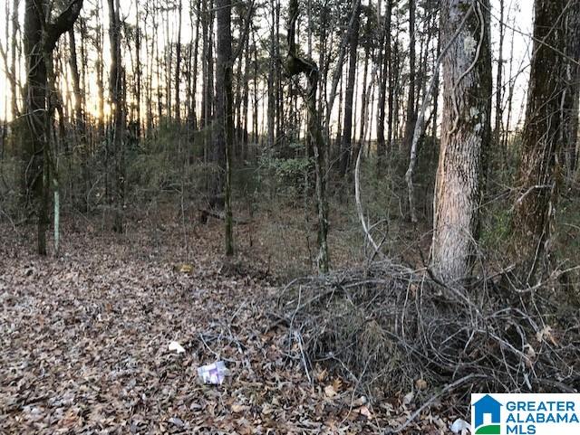 8140 Kimbrell Cutoff Road, Unit 1 McCalla, AL 35111 - Photo 3 of 4