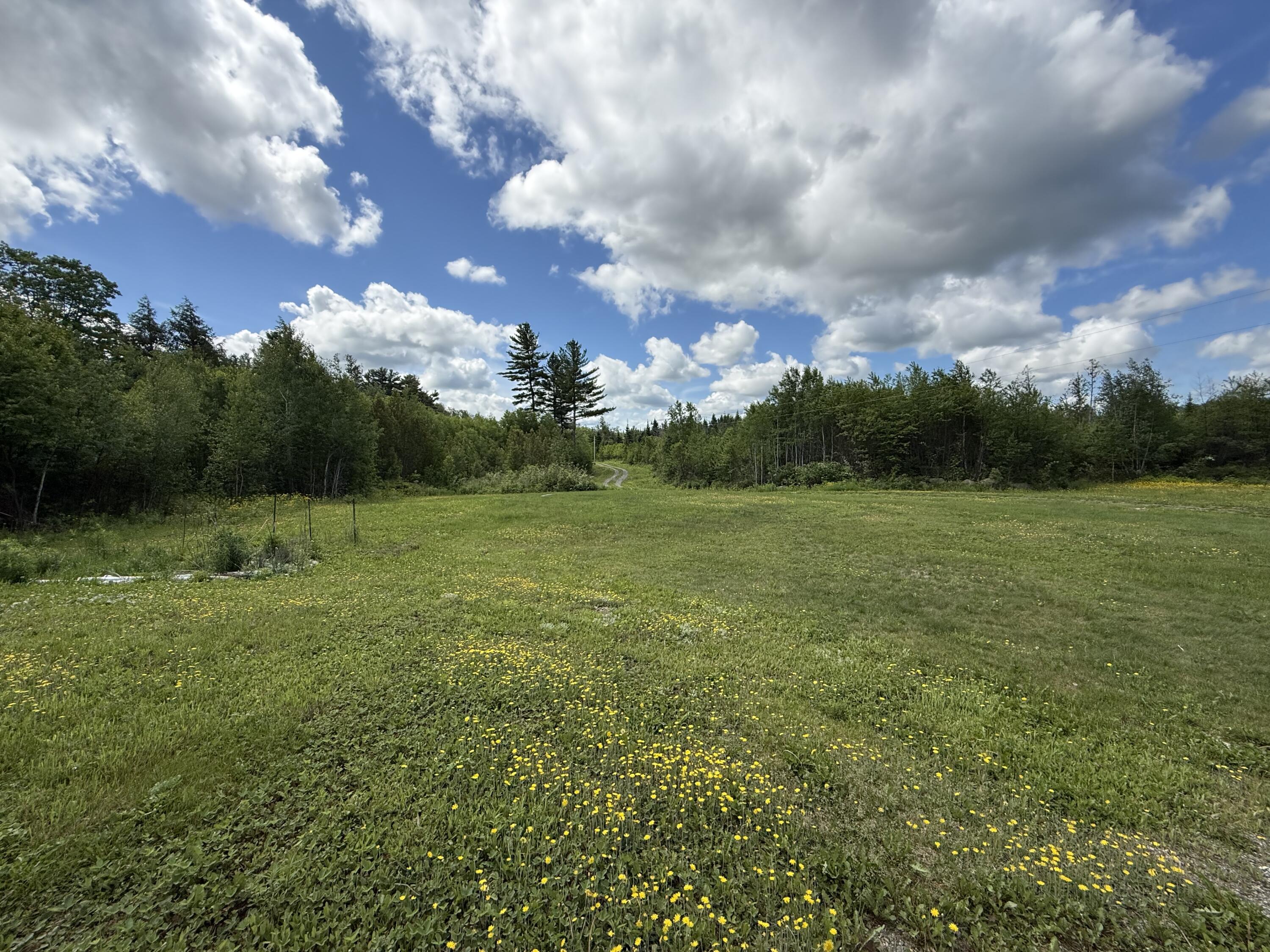 313 Wilcox Road Orient, ME 04471 - Photo 17 of 37 IMG_0112