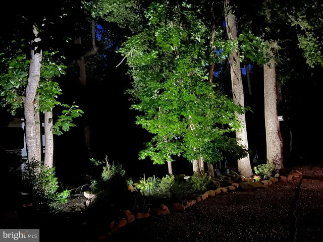 a view of a garden with plants