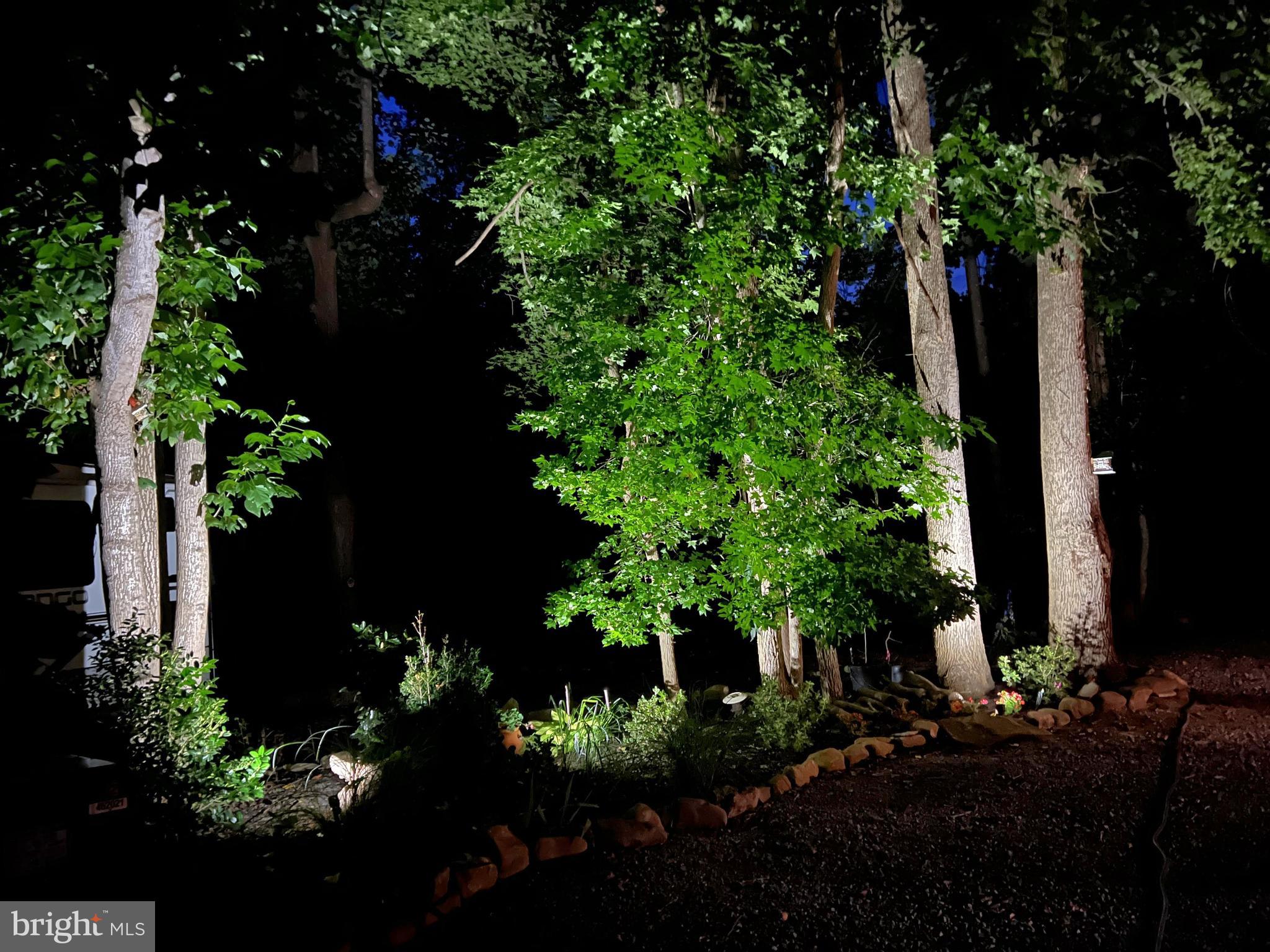 2020 Biglane Court, Unit A Huntingtown, MD 20639 - Photo 5 of 29 a view of a garden with plants