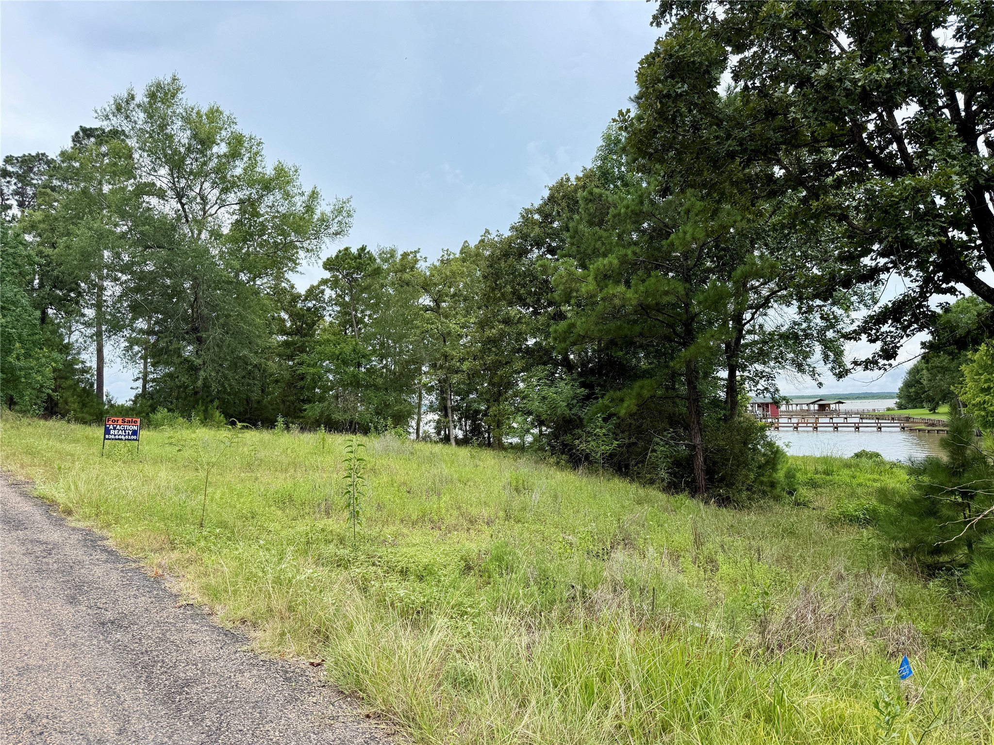 144 Lori Lane Trinity, TX 75862 - Photo 5 of 7