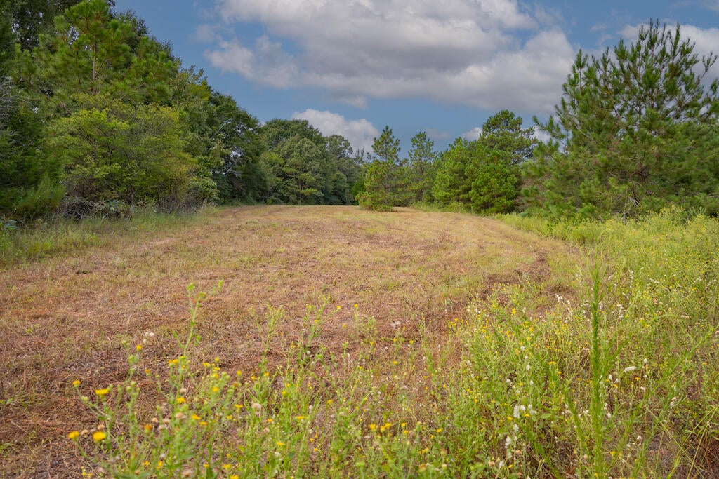 1195 Power Dam Road Newton, AL 36352 - Photo 56 of 87 Gallery Image 56