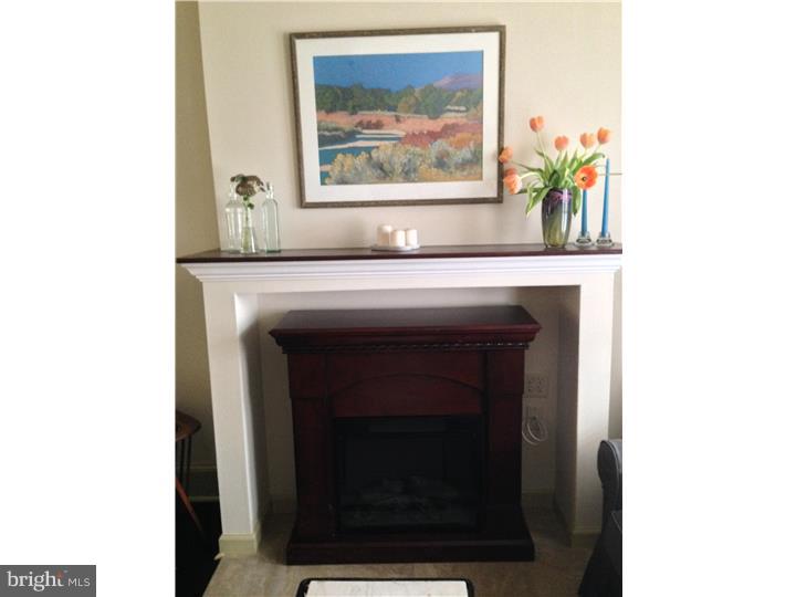 227 Righter Street Philadelphia, PA 19128 - Photo 11 of 24 Fireplace