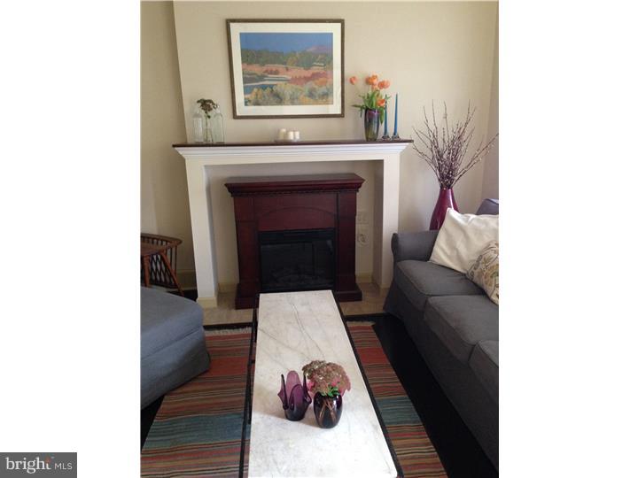 227 Righter Street Philadelphia, PA 19128 - Photo 10 of 24 Fireplace