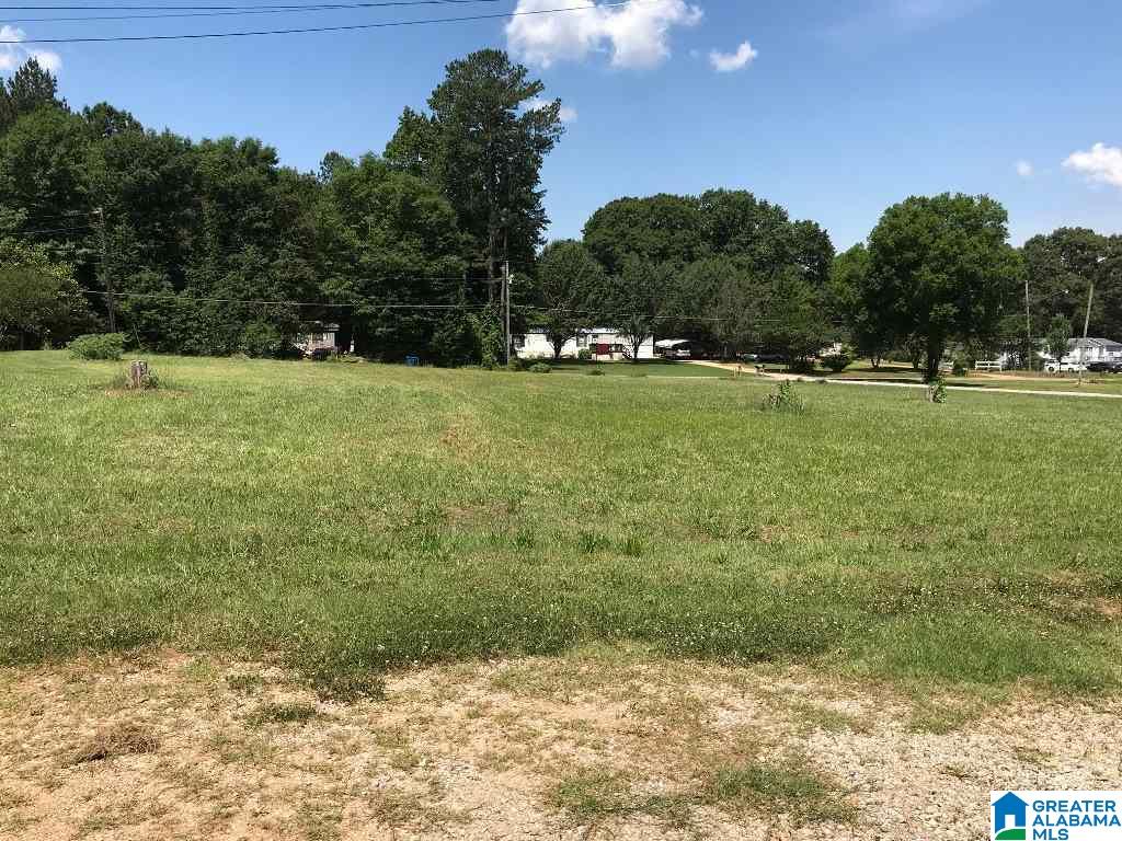 984 Beck Road Eastaboga, AL 36260 - Photo 27 of 33