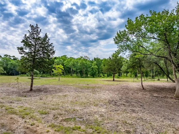 a view of dirt field with trees