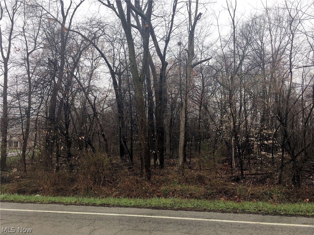 7340 Quarry Road Amherst, OH 44001 - Photo 1 of 1