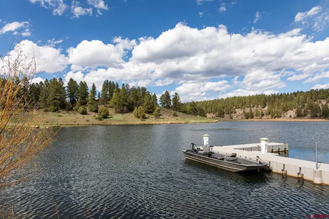 a view of lake with trees