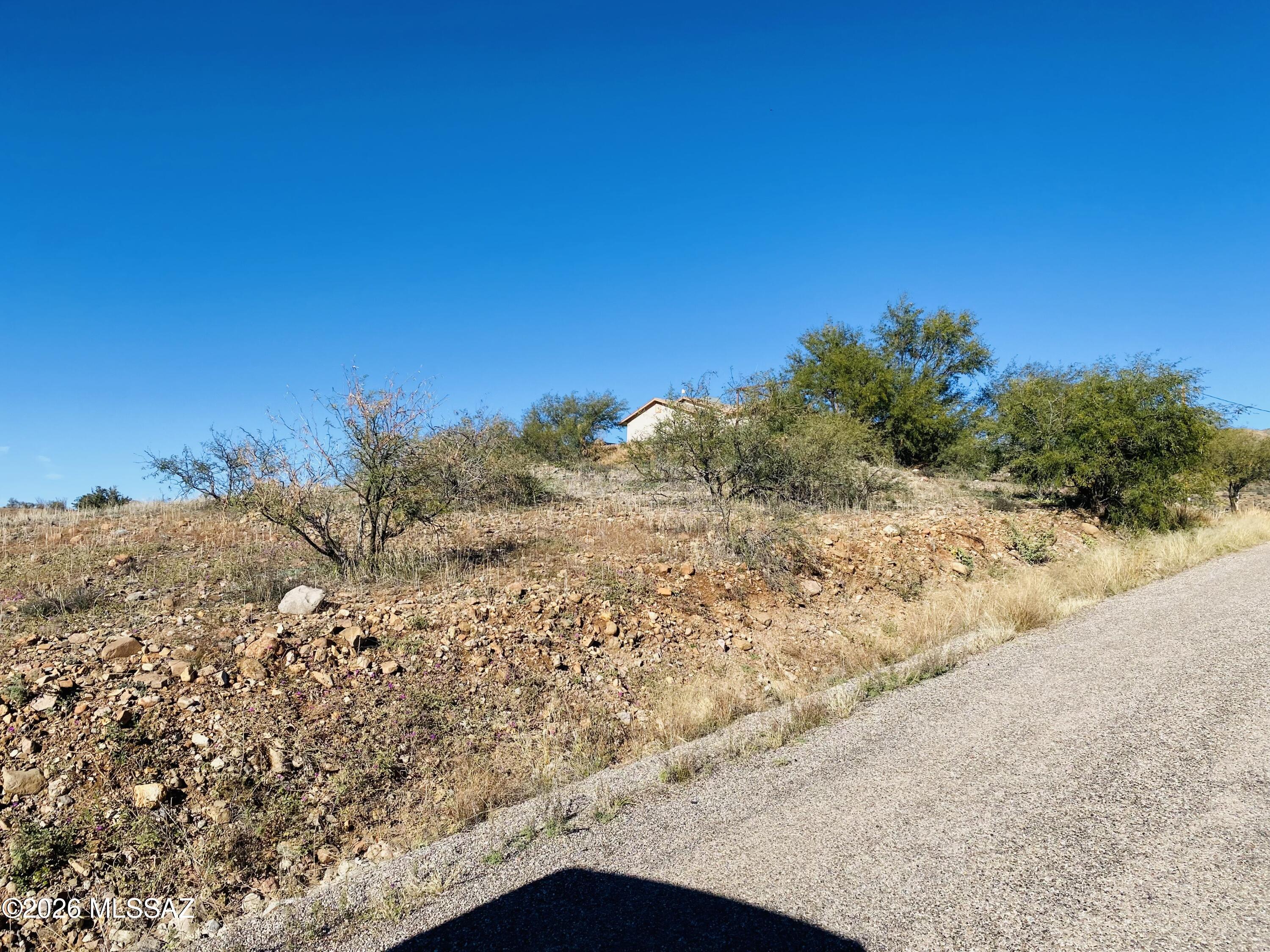 302 Camino La Pasida Rio Rico, AZ 85648 - Photo 1 of 2 a view of a dry yard with trees