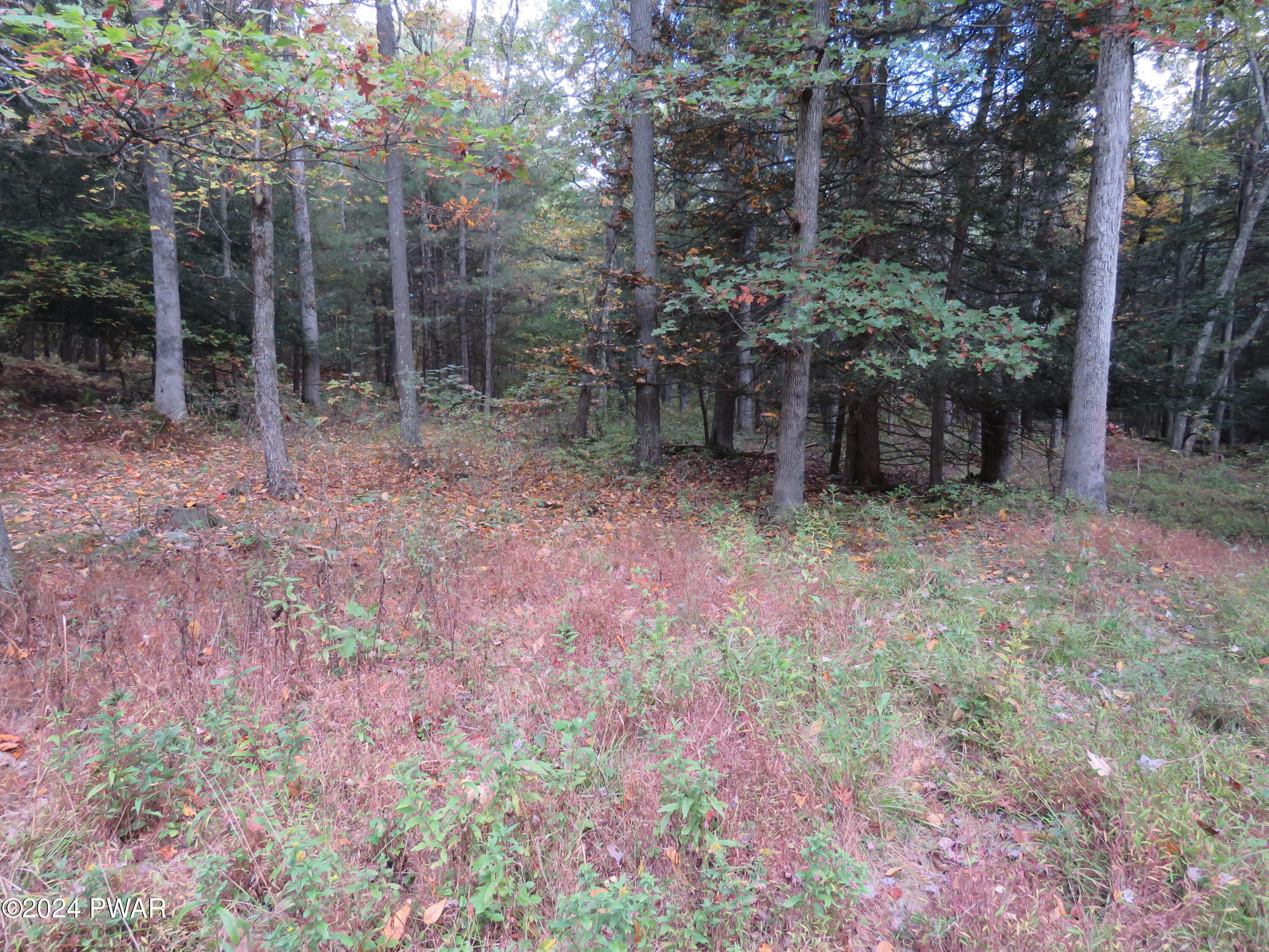 Egypt Road Tafton, PA 18464 - Photo 2 of 8