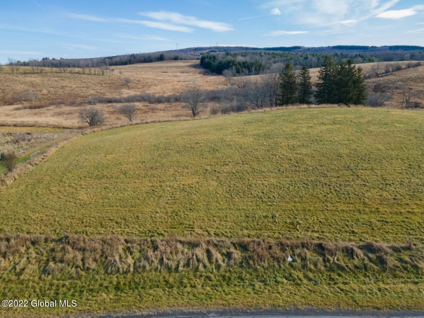 754 Dodge Lodge Road Warnerville, NY 12187 - Photo 1 of 5 DodgeLodgeLand-15 - Copy