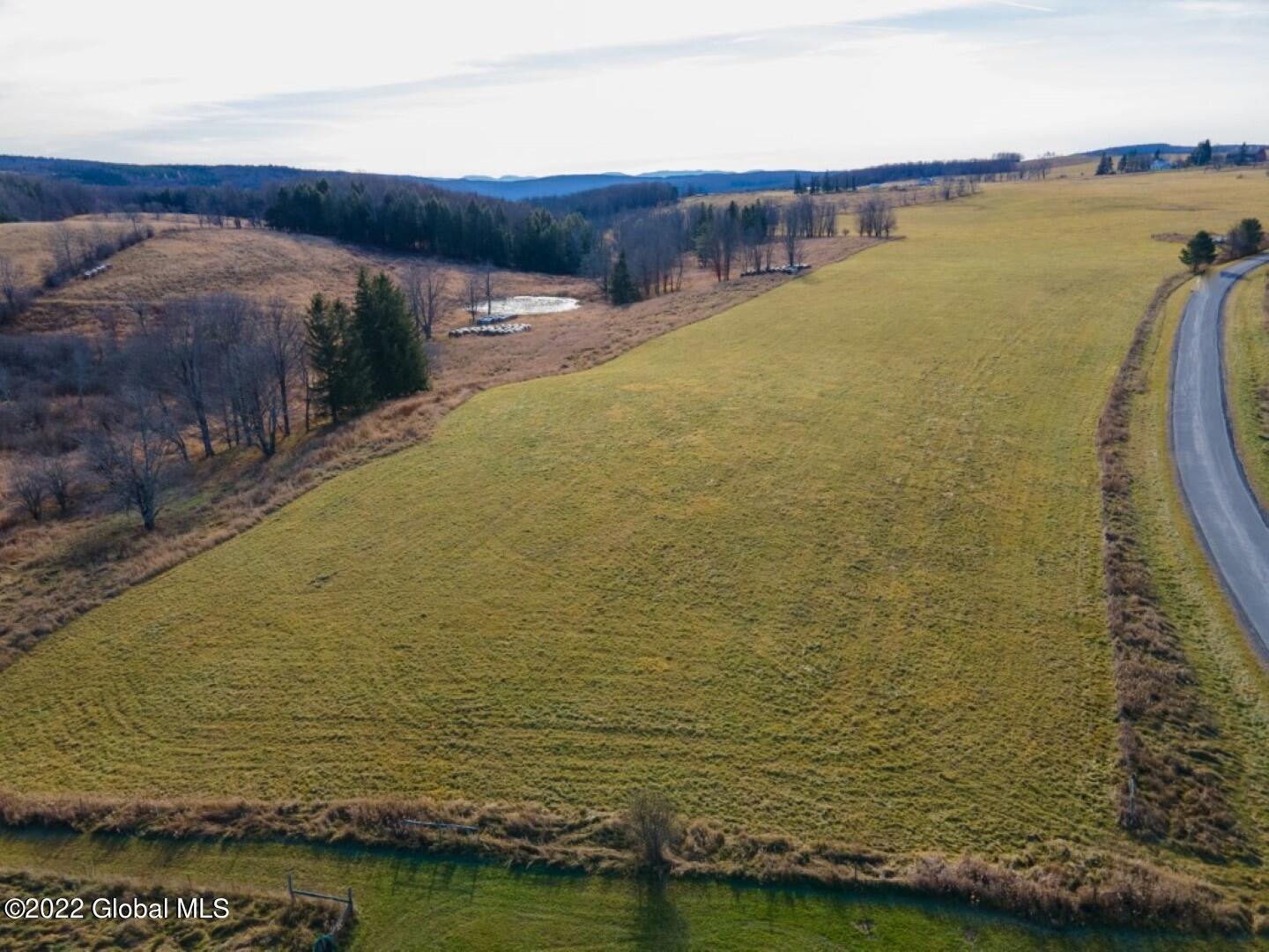 754 Dodge Lodge Road Warnerville, NY 12187 - Photo 3 of 5 DodgeLodgeLand-14 - Copy