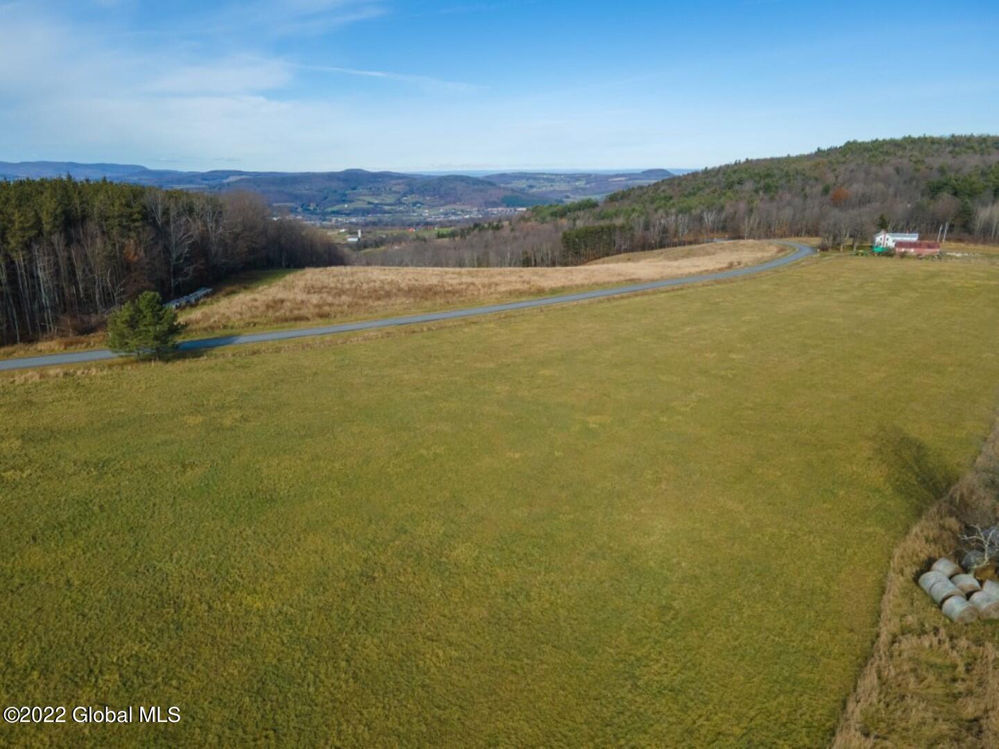 754 Dodge Lodge Road Warnerville, NY 12187 - Photo 4 of 5 DodgeLodgeLand-16 - Copy