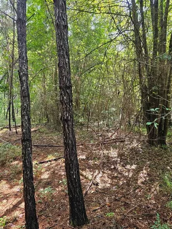 $188,100 | Tbd Old River Road, Starks, LA 70661