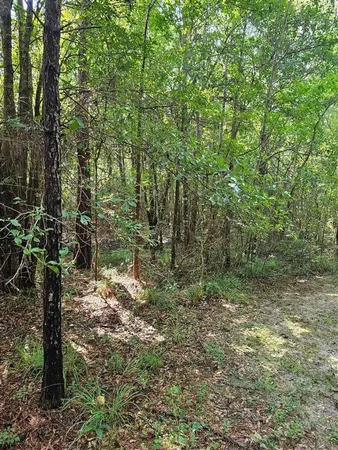 $188,100 | Tbd Old River Road, Starks, LA 70661