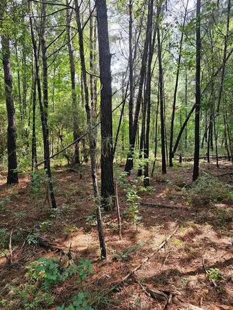 $188,100 | Tbd Old River Road, Starks, LA 70661