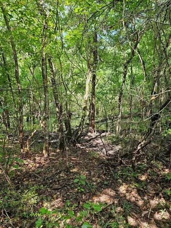 $188,100 | Tbd Old River Road, Starks, LA 70661